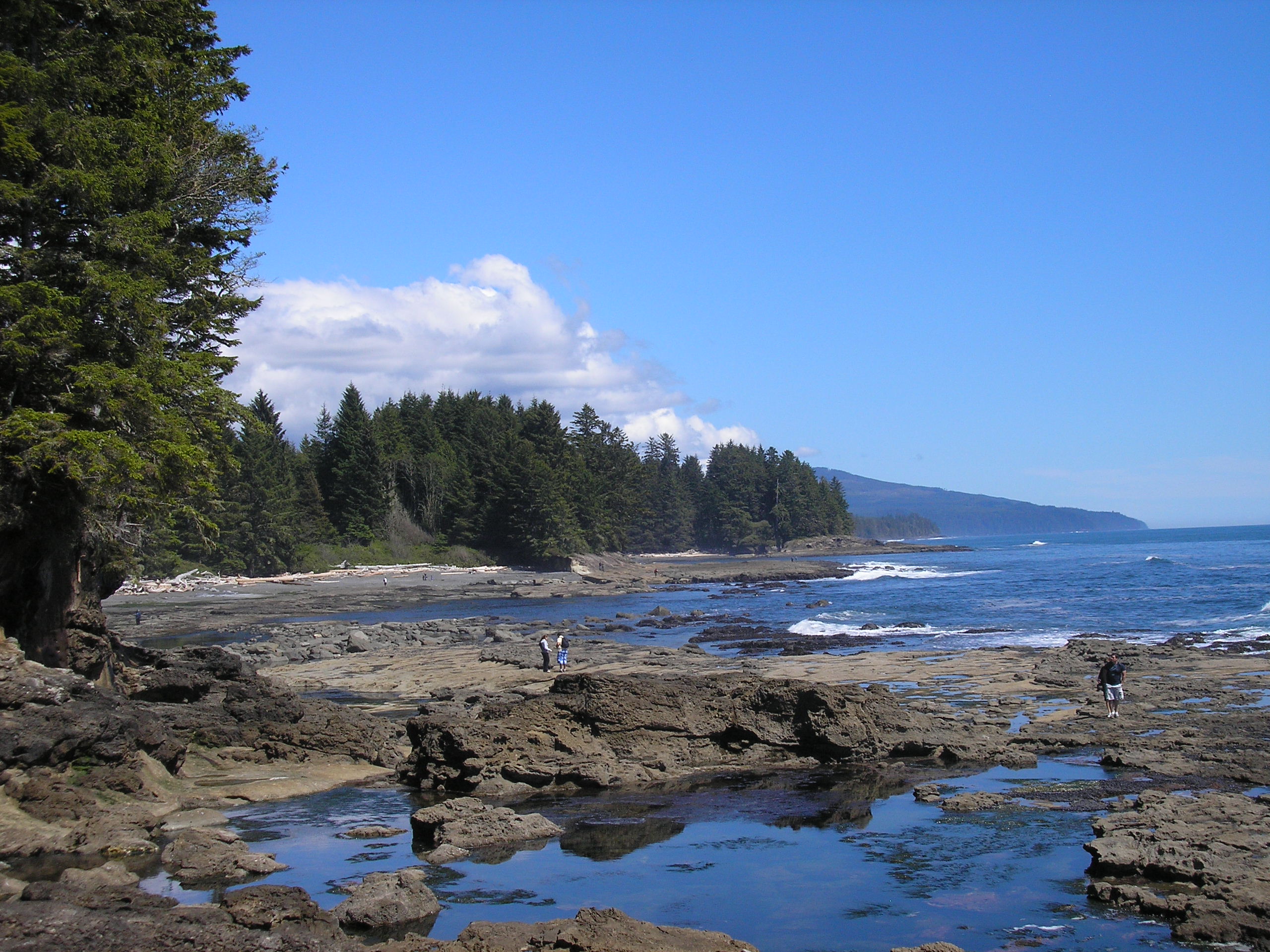 Fantastic Day Trip from the Bed and Breakfast in Victoria! Fisher